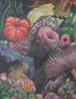 Val Tierney - Coral Reef VIII - Coloured Pencil 